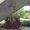 Balcon en béton Montréal